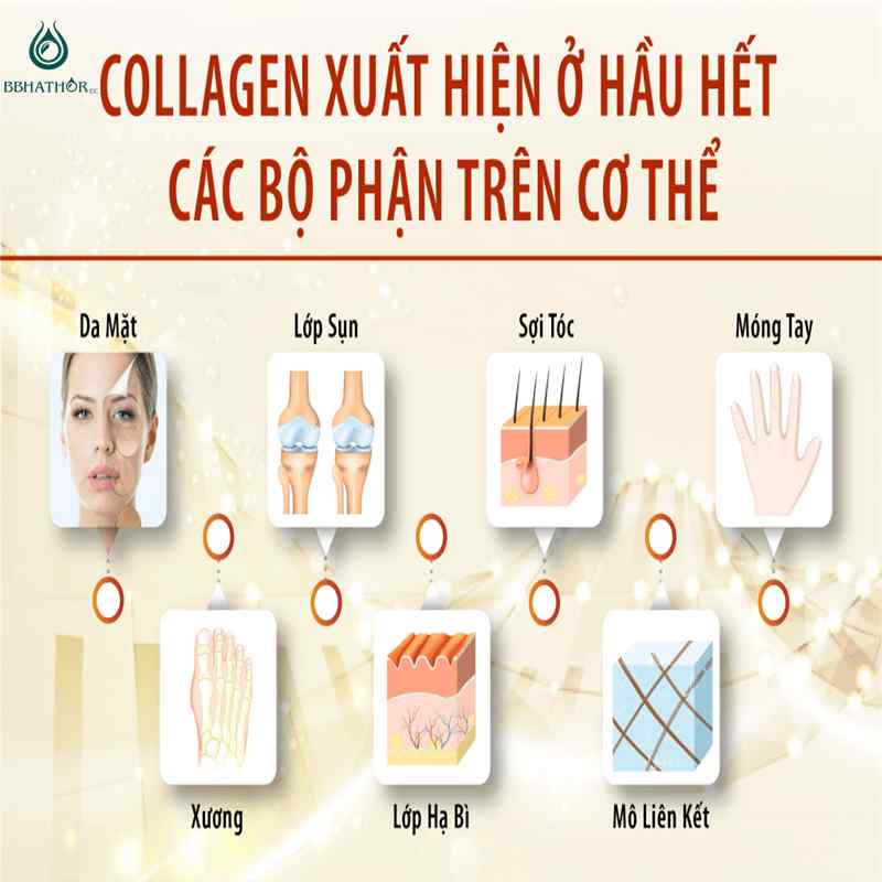 gia công kem dưỡng ẩm Collagen hiệu quả